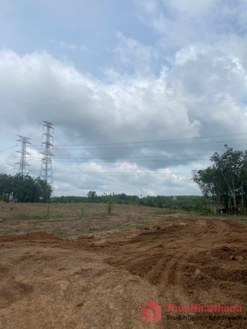 Cho thuê 4,5 đất trống tiện SXKD chế biến gỗ, CNN xả thải tại Xã An Long, Tp.HCM giá 20tr