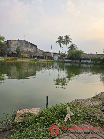 Cho thuê hồ câu cá có sẵn cơ sở vật chất